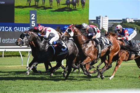 Randwick Guineas 2024 .